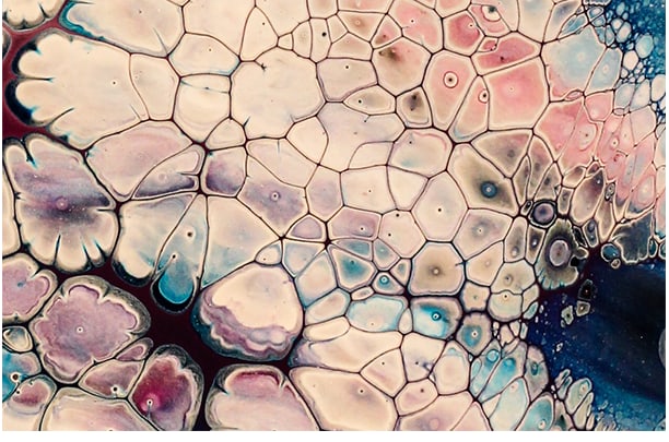 Pastel cellular texture — placeholder editorial cover.