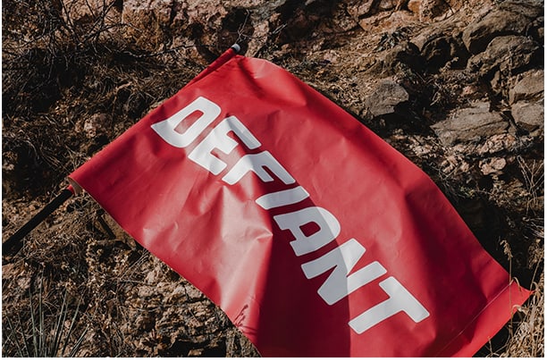 Red fabric flag mockup outdoors — placeholder editorial cover.
